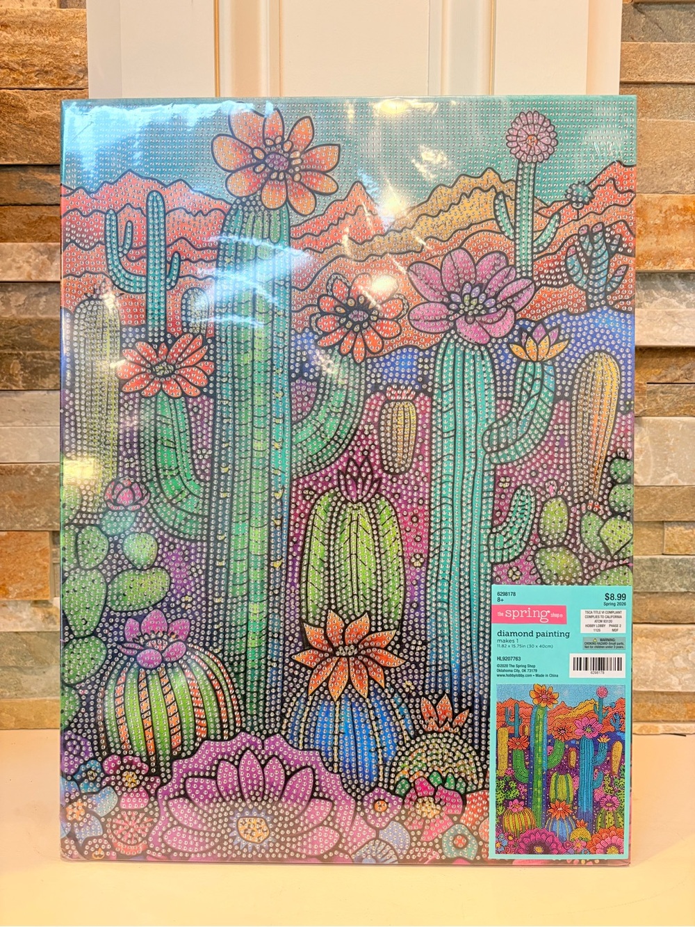 The Spring Shop Multicolor Cactus Diamond Painting Canvas